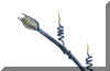 Feuerblume3.jpg (43649 Byte)