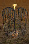 roots&wings3.jpg (81487 Byte)
